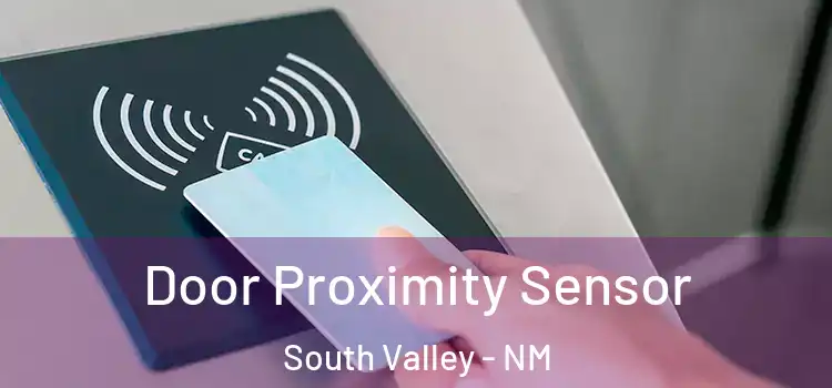 Door Proximity Sensor South Valley - NM
